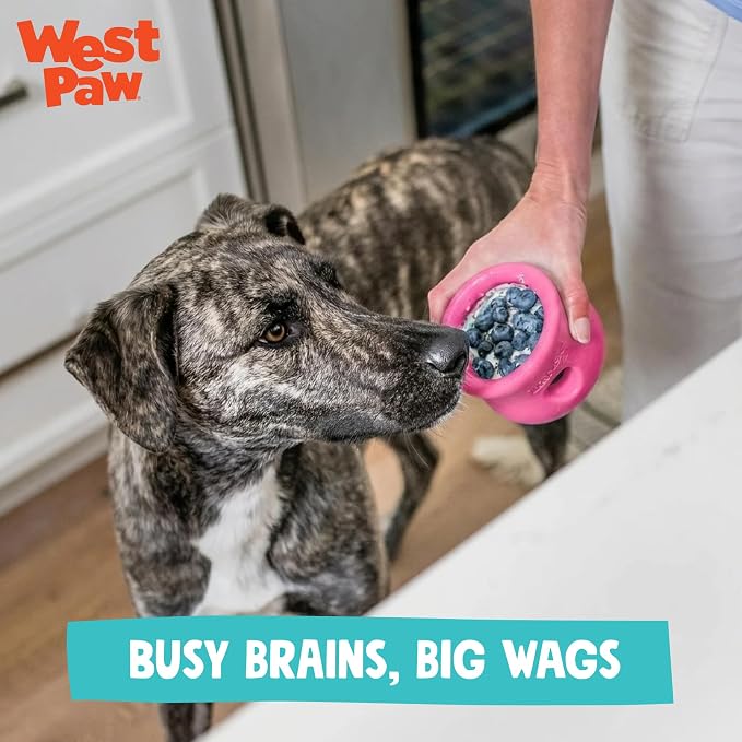 WEST PAW Zogoflex Toppl Interactive Treat Dispensing Puzzle Dog Toy for Mental Stimulation & Enrichment-Holds Kibble & Treats-Lickable, Freezable & Dishwasher Safe-Made in USA-XL-Geranium