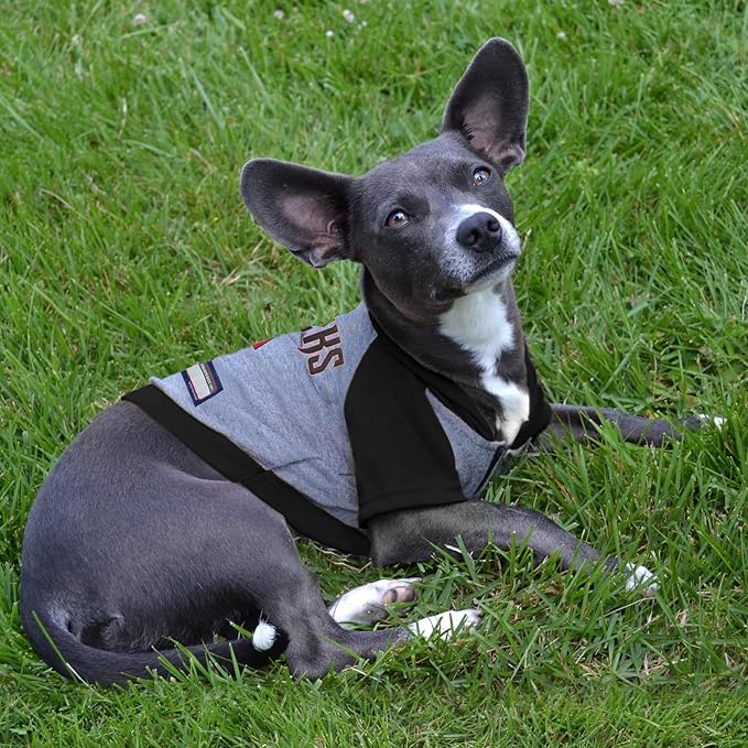 MLB Hoodie Shirt for Dogs & Cats - Arizona Diamondbacks Dog Hooded T-Shirt, Large. - MLB Team Color Hoody Vest for Baseball Fans