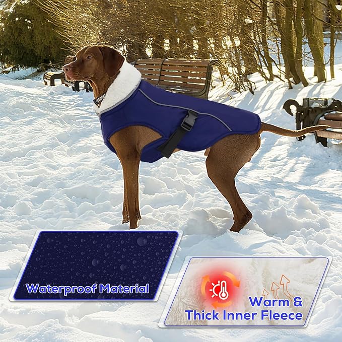EMUST Winter Dog Jacket, Windproof Dog Apparel for Cold Weather, Reflective Coats for Dogs, Warm Puppy Jacket for Cold Winter, Blue S