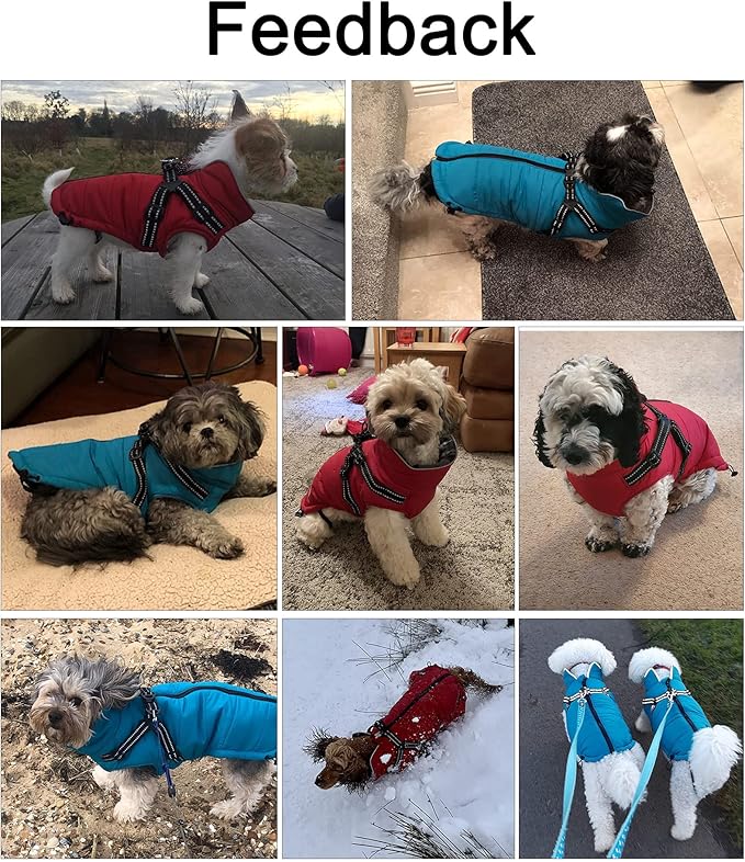 Geyecete Winter Warm Coat Waterproof Dog Winter Jacket with Harness Traction Belt,Pet Outdoor Jacket Dog Autumn and Winter Clothes for Medium, Small Dog-Orange-L