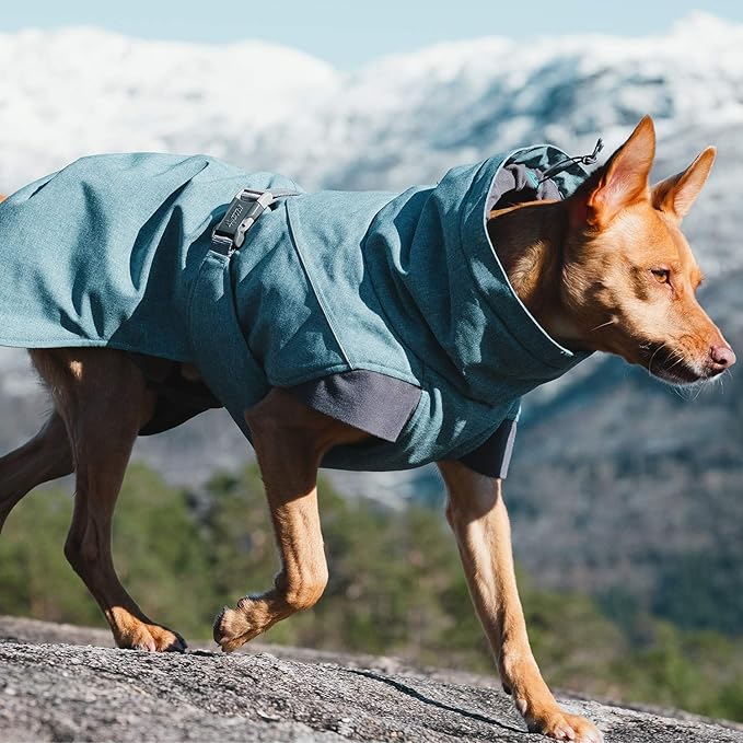 Hurtta Expedition Parka, Winter Dog Coat, Bilberry, 8 in