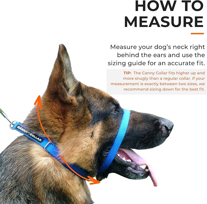 Canny Gentle No-Pull Dog Training Head Collar to Stop Pulling Black Size 2
