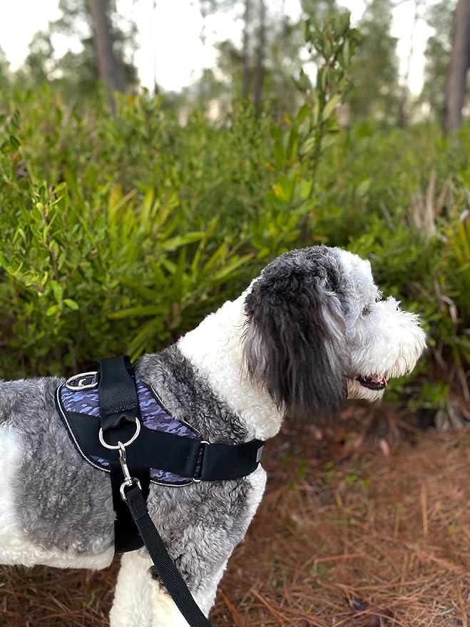 ShawnCo Essential Dog Harness, No-Pull Pet Vest with 3 Leash Clips, No Choke, Reflective, Adjustable and Padded, for Easy Walking and Training for Small, Medium and Large Dogs (Dark Camo, L)