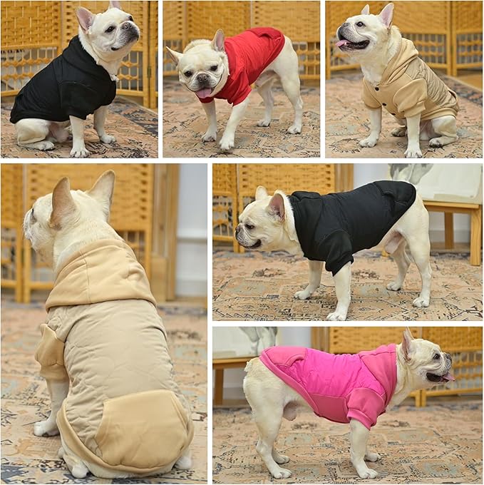 KOOLTAIL Warm Dog Winter Coat for Small Dogs, Waterproof Puppy Jacket with Leash Hole, Cold Weather Dog Vest for Winter, Soft Pet Hoodie Sweater Sweatshirt Clothes for Puppy Cats Girls Boys Beige S