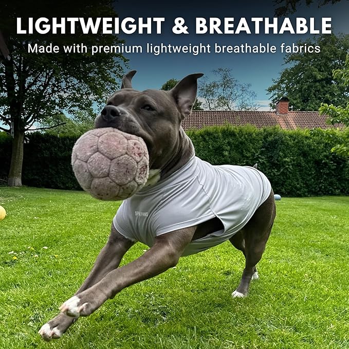 Spark Paws Sunblock Dog T-Shirt, SPF30 Protection, Lightweight Breathable Quick Dry for Dogs with Sensitive Skin - Blue & Grey (Set of 2) - 2XL
