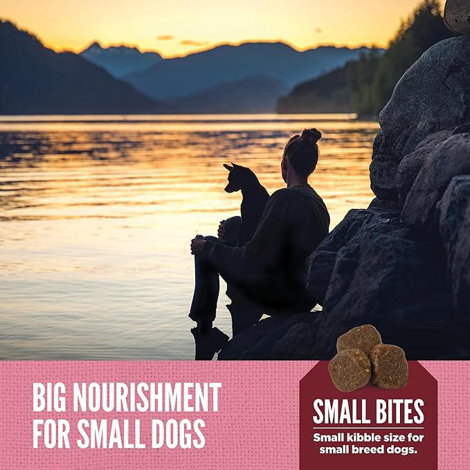 ORIJEN Amazing Grains High Protein Dry Dog Food Small Breed Recipe 10lb Bag