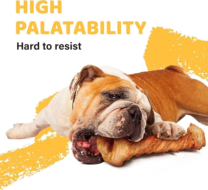 iPaw Turkey Tendon for Dogs 10 Pcs Value Pack, Ingredient Sourced from USA, Hypoallergenic, All Natural Human Grade Puppy Chew, Dog Treats for Signature Series, Rawhide Alternative, Bone (Small)