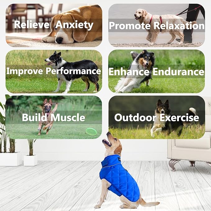 Weighted Dog Vest, Tactical Weight Coat with Beads for Dogs Anxiety- Relieve Stress, Build Muscle & Optimize Health, Premium Heavy Duty Dog Training Jacket for Exercise and Strength (Blue, XXL)