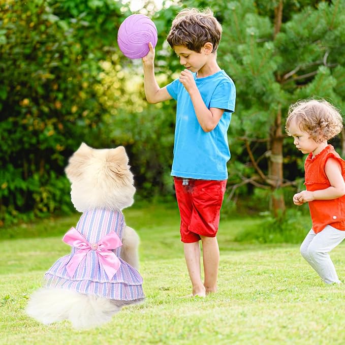 Dog Dresses for Small Dogs Girl, Cute XXS Girl Dog Clothes, Rose Pink & Purple Puppy Clothes, Tiny Doggie Princess Outfits for Chihuahua Yorkie Teacup Female, 2 Pack
