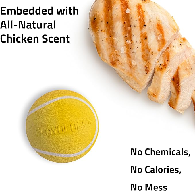 Playology Squeaky Chew Ball Dog Toy - Medium, Chicken Scent, 2-Pack
