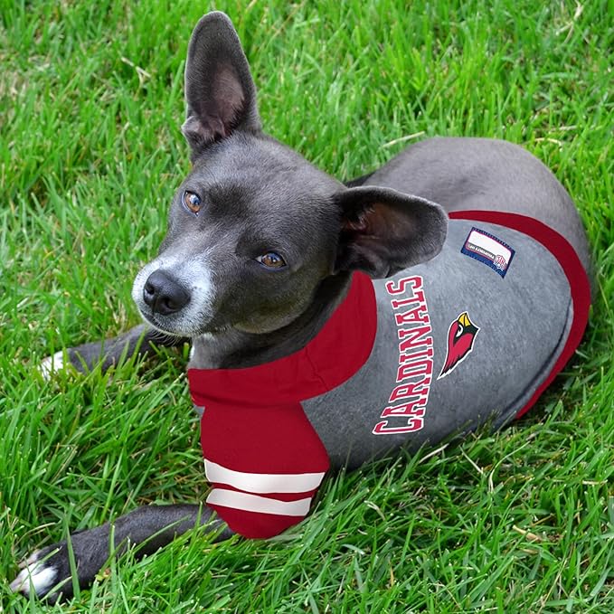 Pets First Hoodie for Dogs & Cats. NFL Football Licensed Dog Hoody Tee Shirt, Large. Sports Hoody T-Shirt for Pets. Licensed Sporty Dog Shirt, ARZ-4044-LG