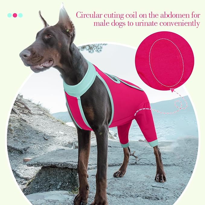 ROZKITCH Dog Surgery Leg Sleeve Rear Legs, Male Female Pet Prevent Licking Wound Elbow Knee Protector, Dog Recovery Suit Cone Collar Alternative Pants Shirt for Wound Heal Wrap Rosered S