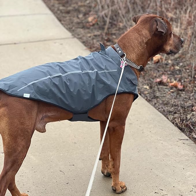 Mile High Life Dog Raincoat, Adjustable Waterproof Reflective Rain Jacket for Small Medium Large Dogs, Lightweight Breathable Pet Rain Coat with Leash Hole(Dark Gray,M Chest 26-32")