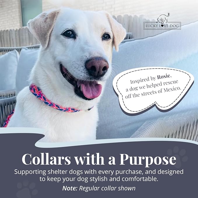Lucky Love Dog Martingale Collar for Small Dogs No Slip Cute – Rosie, Small