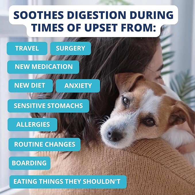 Under the Weather Bland Diet for Dogs | Easy to Digest for Sick Dogs | Always Be Ready | Contains Electrolytes - All Natural Freeze Dried 100% Human Grade Meats | 2 Pack - Chicken, Rice - 6oz
