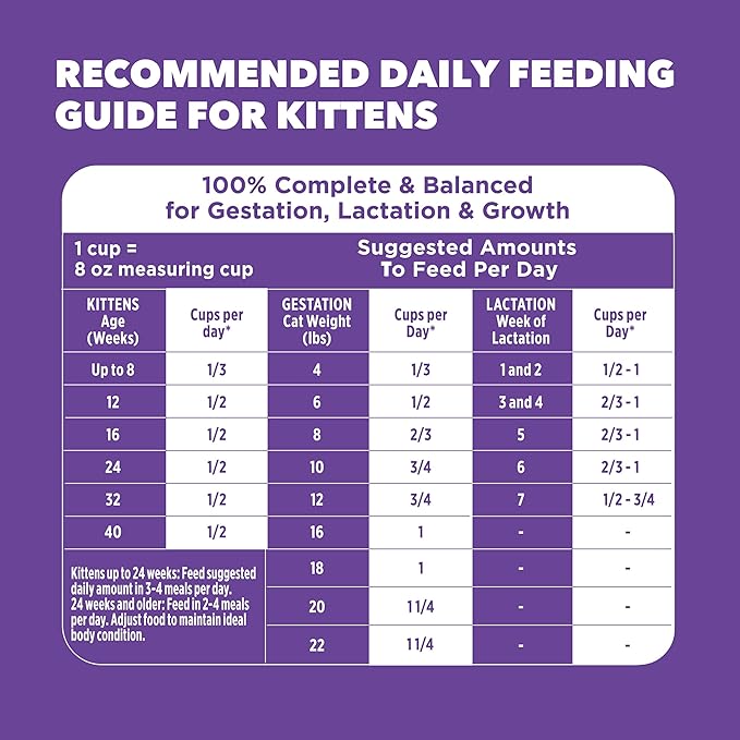 IAMS Proactive Health Healthy Kitten Dry Cat Food with Chicken, 3.5 lb. Bag