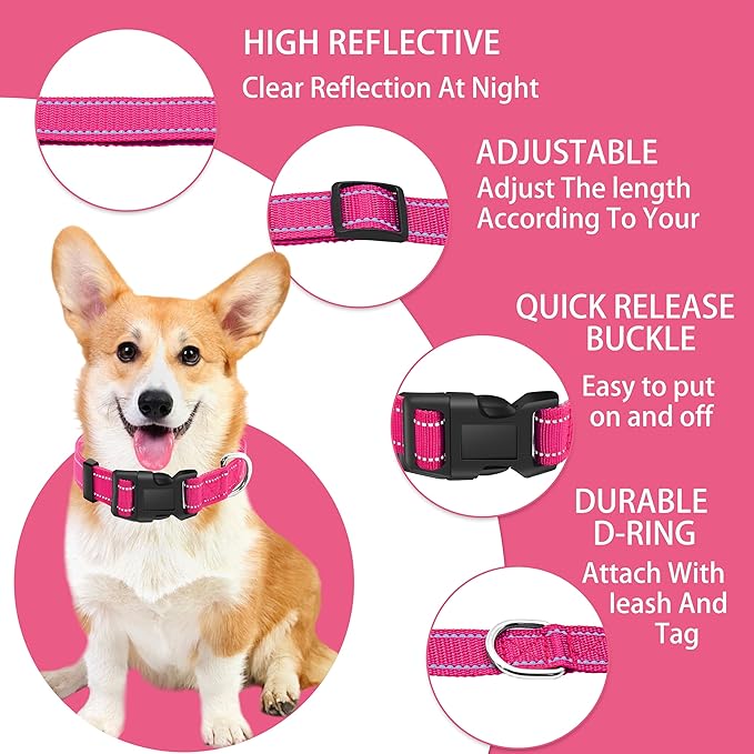 Maiiu Reflective Dog Collar with Safety Locking Buckle, Adjustable Soft Breathable Nylon Collars for Small, Medium and Large Dogs(Collar+Leash S Width 5/8" Hotpink)