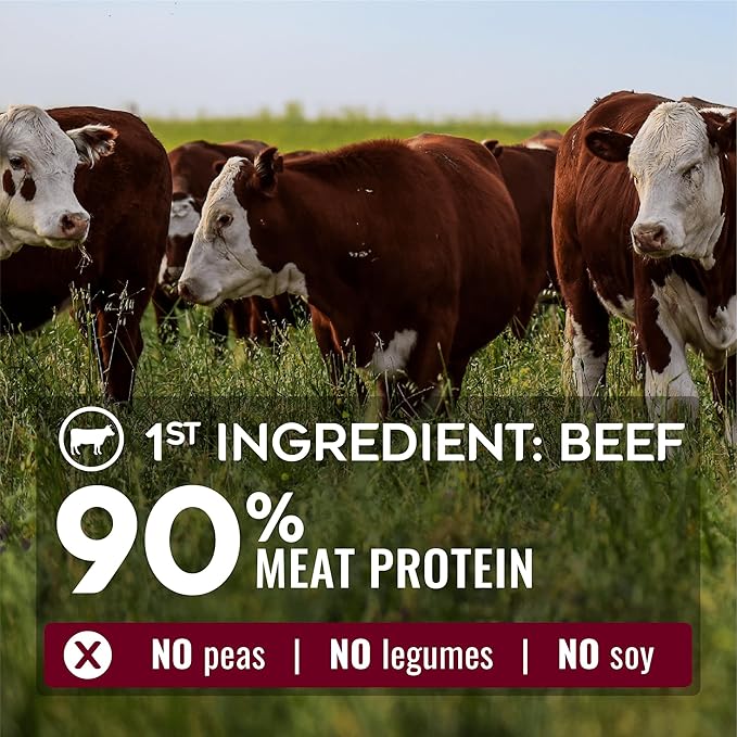 Nature’s Logic Pure Naturals™ 100% Natural Beef Recipe Synthetic-Free Dry Dog Food, 24 lbs