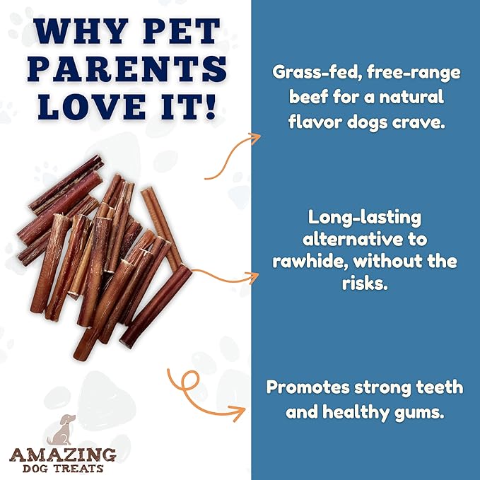 Amazing Dog Treats - 6 Inch Medium Size Bully Sticks (10 Count) - Bulk Bully Sticks for Dogs - No Hide Bully Stick Dog Bones