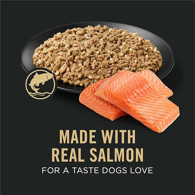 Purina Pro Plan Sensitive Skin and Stomach Dog Food Wet Classic Pate Salmon and Rice Entrée - (Pack of 12) 13 oz. Cans