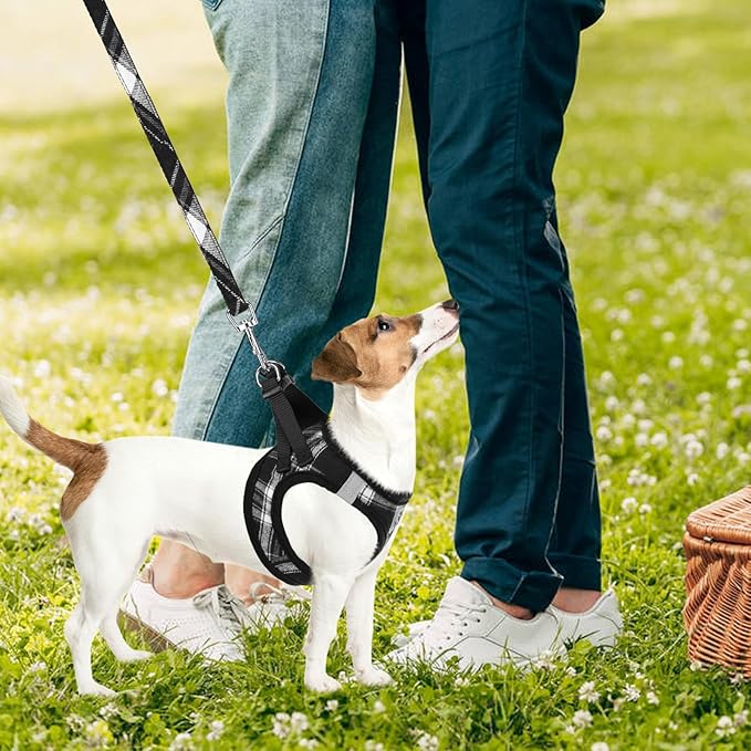 PUPTECK Adjustable Dog Harness Collar and Leash Set Step in No Pull Pet Harness for Small Medium Dogs Puppy and Cats Outdoor Walking Running, Soft Mesh Padded Reflective Vest Harnesses, Black S