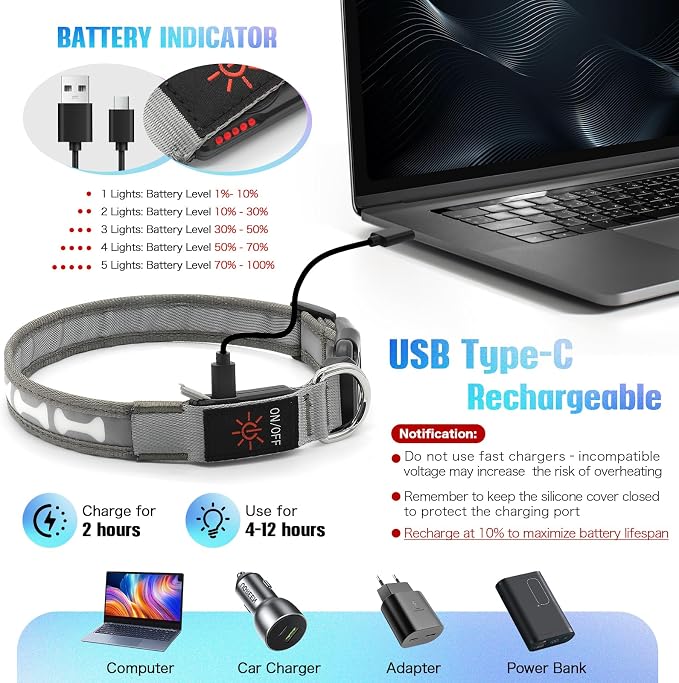 Flashseen LED Dog Collar Light up USB Rechargeable, 7-Color Glow, Grey, S