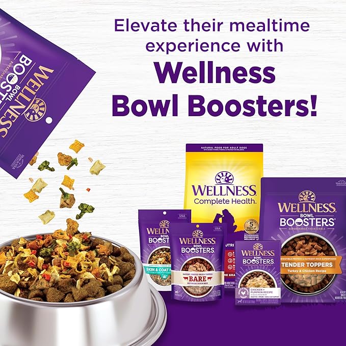 Wellness Complete Health Dry Dog Food with Grains, Natural Ingredients, Made in USA with Real Meat, All Breeds, For Adult Dogs (Lamb & Barley, 5-Pound Bag)