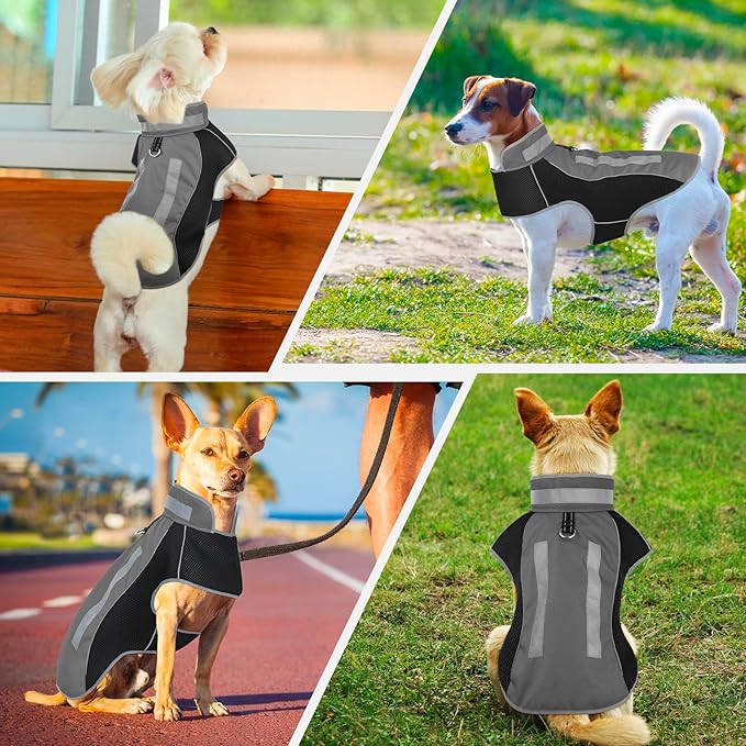 Small Dog Coat, Warm Dog Winter Jacket, Reflective Pet Jacket with Fleece Lined, Pet Clothes for Small Medium Dogs (Gray, L)