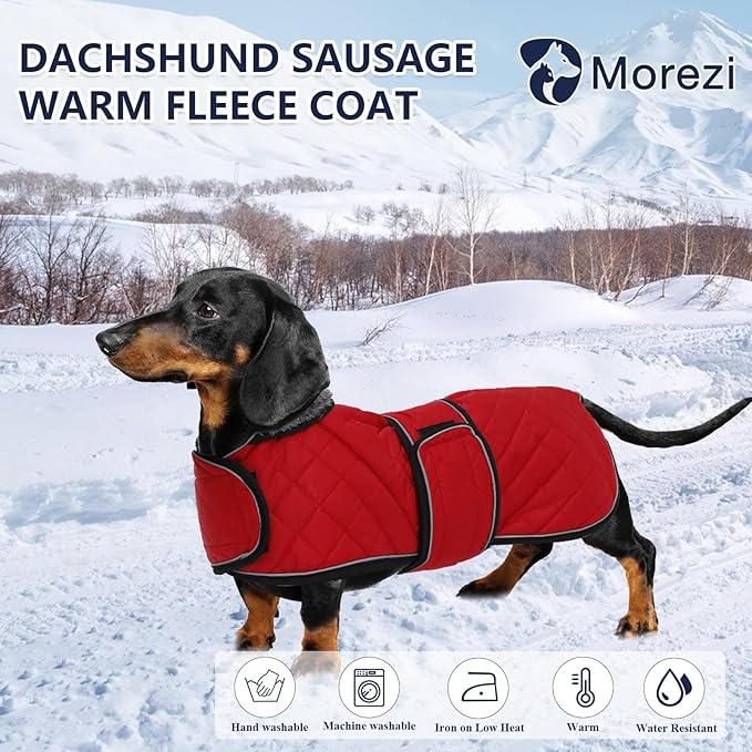 Dachshund Coat Dog Coats for Dachshunds Dachshund Winter Jacket with Padded Fleece Outdoor Dog Clothes with Adjustable Bands - Red - L