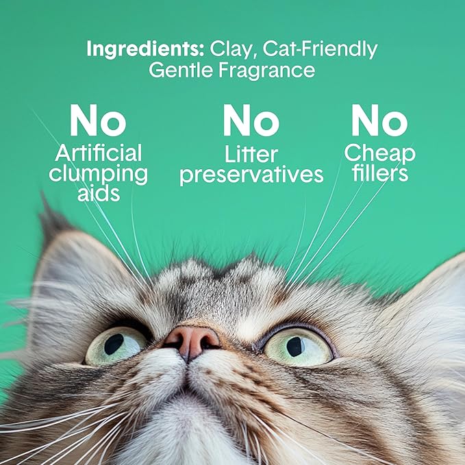 Boxiecat Gently Scented Premium Clumping Clay Cat Litter, 28-Pounds