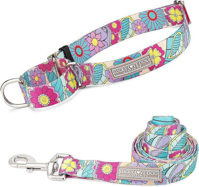 Lucky Love Dog Martingale Collar & Leash Set No Slip Cute – Caroline, Small