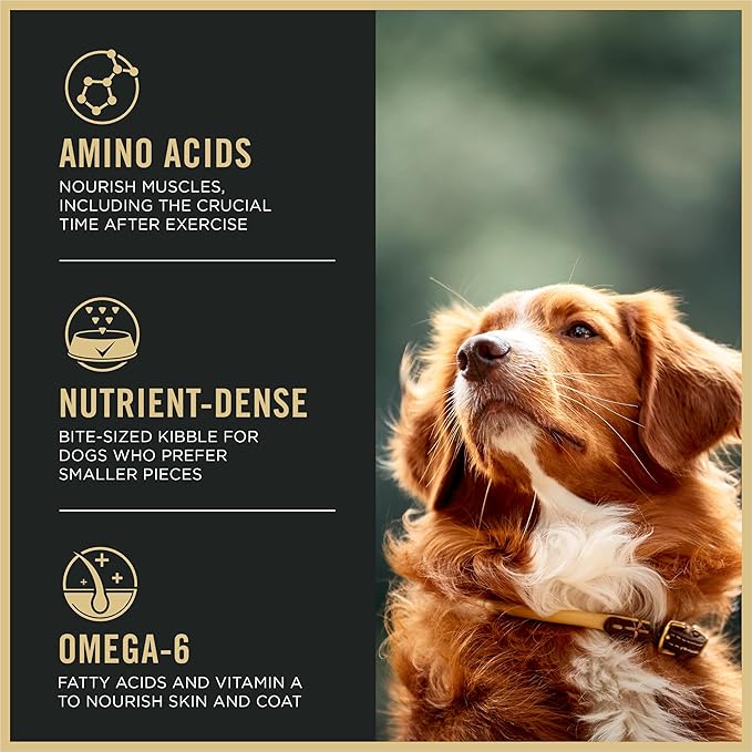 Purina Pro Plan High Protein Dog Food, Small Bites, SPORT 27/17 Lamb and Rice Formula - 37.5 lb. Bag