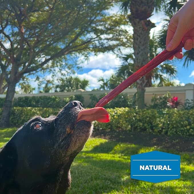 Best Bully Sticks Smoked Bully Sticks with Collagen for Dogs - 10-12 Inch, 10 Count (Pack of 1) - Natural, Grain Free Dog Chews - Large, Long-Lasting Treats for Aggressive Chewers