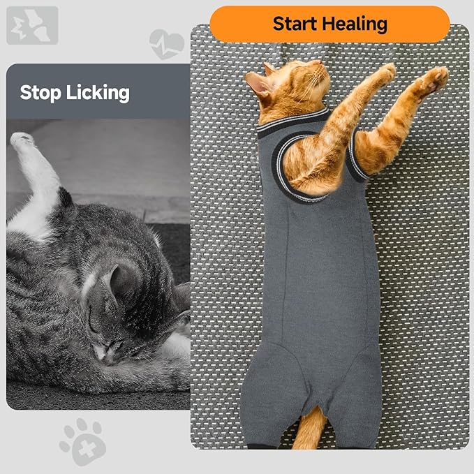 Stress-Free Cat Recovery Suit for Female Cats - Vet-Backed E-Collar Alternative, Anti-Lick & Rear Access Design Gray S