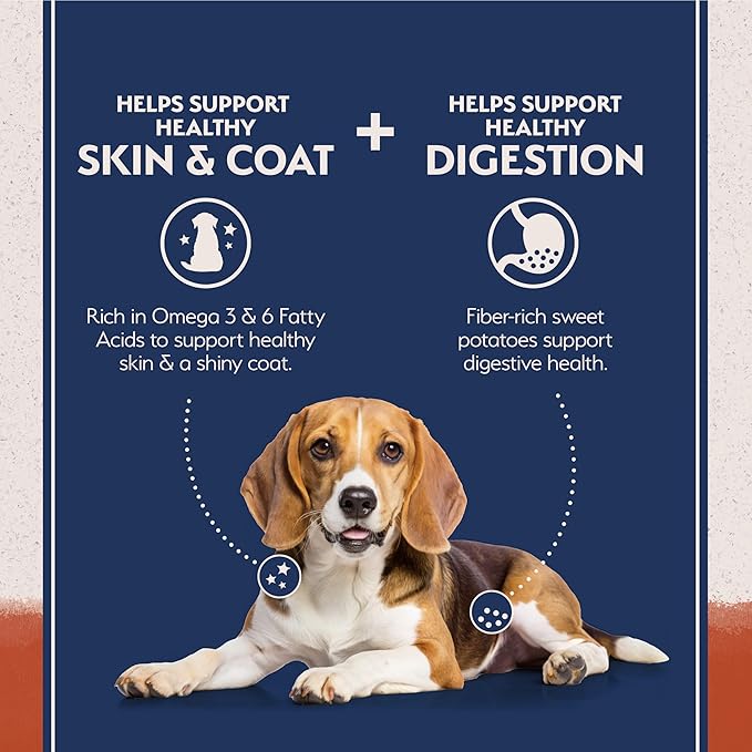 Natural Balance Limited Ingredient Grain Free Salmon & Sweet Potato Dry Dog Food, Sensitive Stomach, 4 lb (Pack of 1)