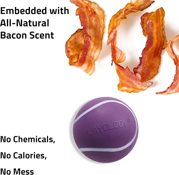 Playology Squeaky Chew Ball Dog Toy - Jumbo, Bacon Scent