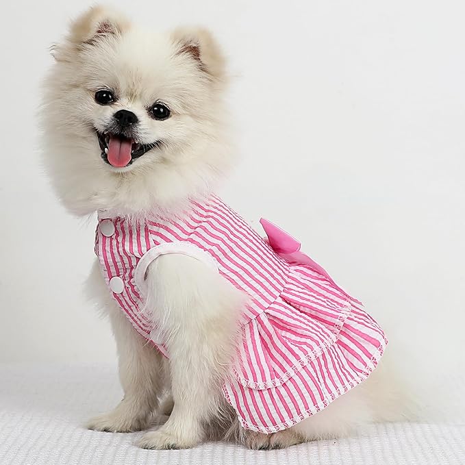 Dog Dresses for Small Dogs Girl, Cute XXS Girl Dog Clothes, Rose Pink & Purple Puppy Clothes, Tiny Doggie Princess Outfits for Chihuahua Yorkie Teacup Female, 2 Pack