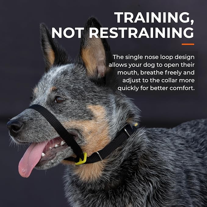 Canny Gentle No-Pull Dog Training Head Collar to Stop Pulling Black Size 4