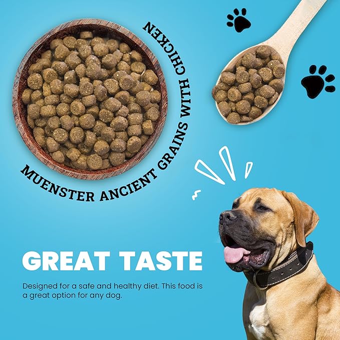 Muenster Ancient Grains Chicken Dry Dog Food, 4lb - Gluten-Free, High Protein, Digestive Support