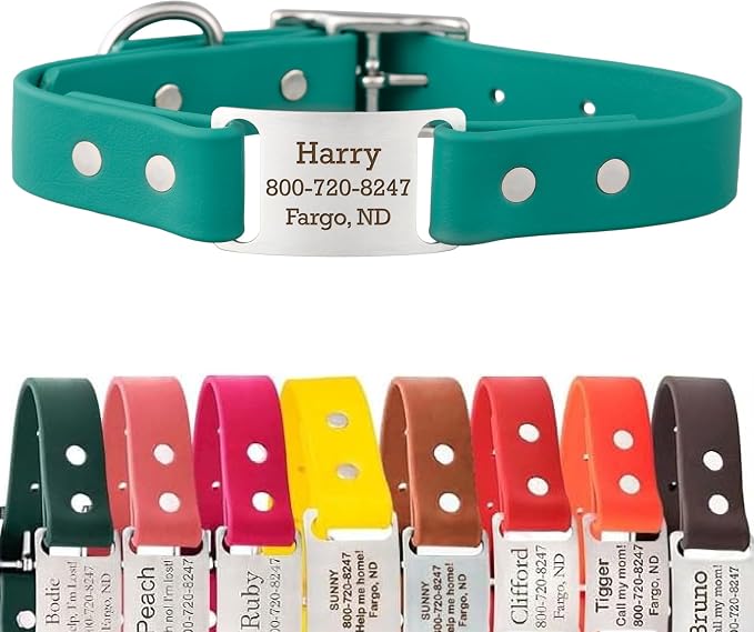 dogIDs Personalized Dog Collar – ScruffTag Custom Waterproof Biothane Dog Collar with Laser-Engraved Name, Durable & Odor-Resistant – USA Made | Teal, 1 in x 18 in (Fits Neck Sizes 16-20 in)