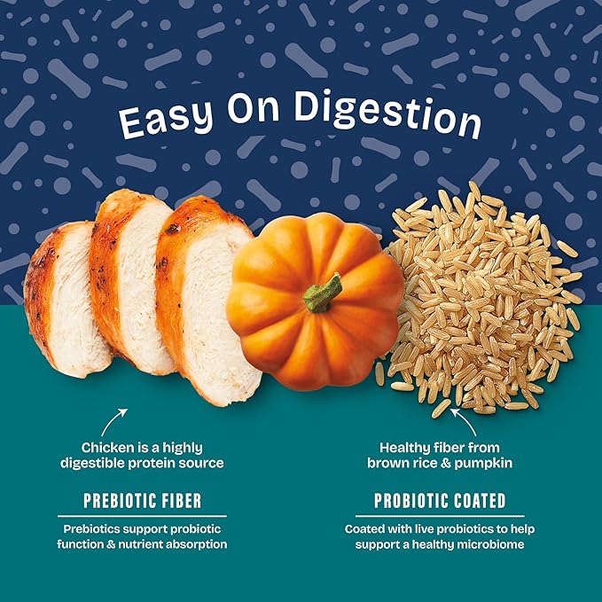 Natural Balance Health Protection Dry Dog Food – Whole Body Health, Easy on Digestion Dog Food Made with Chicken, Brown Rice & Pumpkin for Dogs - 24lbs.