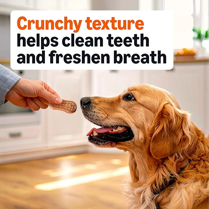 Amazon Basics Crunchy Dog Biscuits Peanut Butter Flavor Dog Treats 5 lb. Box