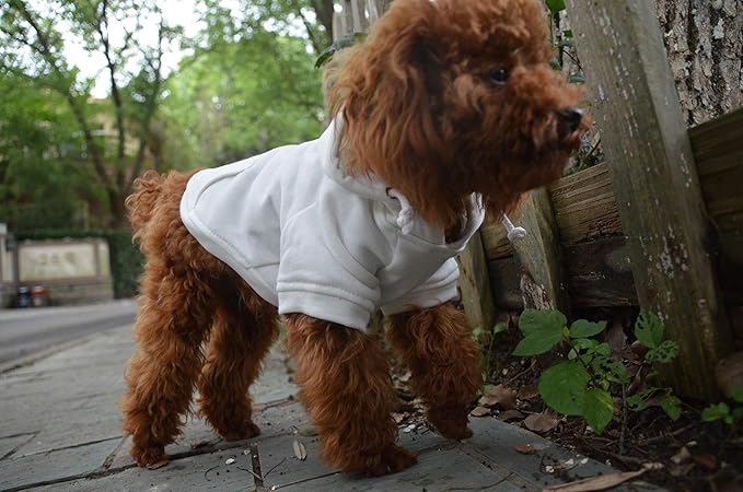 Lovelonglong Blank Basic Hoodie Sweatshirt for Dogs 100% Cotton Fits Small Medium Dachshund Large Dog Off White XXL