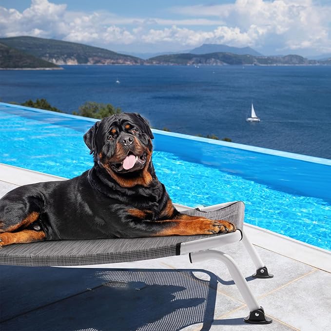 Veehoo Elevated Dog Bed for Outdoor, Cooling Waterproof Raised Dog Cots Beds XL, Curved Off Ground Pet Hammock Cot Lifted for Outside, up to 150lbs, White Legs, Black Silver 49"