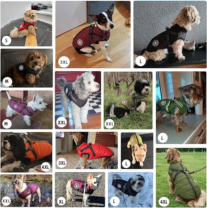 Aiboria Dog Jackets for Winter Windproof Waterproof 2 in 1 Outfit Cold Weather Coat Dog Vest Harness Puppy Winter Warm Jacket Green XXL