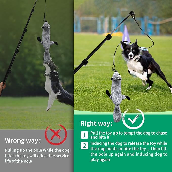 Flirt Pole for Dogs, Interactive Toys Tug-of-war for Dogs, Five-Section Retractable Adjustable Length,for Outdoor Exercise & Training for Small Medium Large Dog