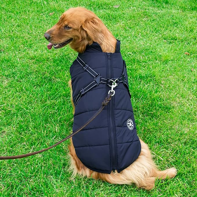 Aiboria Dog Jackets for Winter Windproof Waterproof 2 in 1 Outfit Cold Weather Coat Dog Vest Harness Puppy Winter Warm Jacket Small Blue S