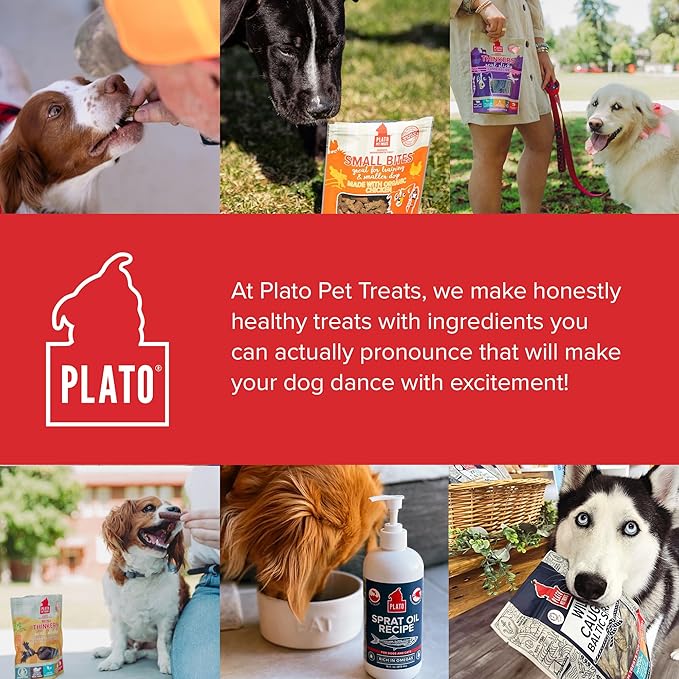 PLATO Pet Treats Thinkers - Meat Stick Treats for Dogs - Limited Ingredient with EPA and DHA to Support Skin, Coat, and Brain - Air-Dried - Thinkers Salmon 10oz - 2 Pack