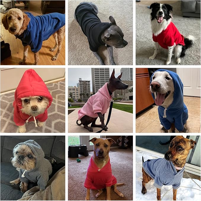 KOOLTAIL Basic Dog Hoodie - Soft and Warm Dog Hoodie Sweater with Leash Hole and Pocket, Pet Winter Coat, Cold Weather Clothes Sweatshirt for Small Medium Large Dogs Puppy Cat Boys Girls Lake Blue XL