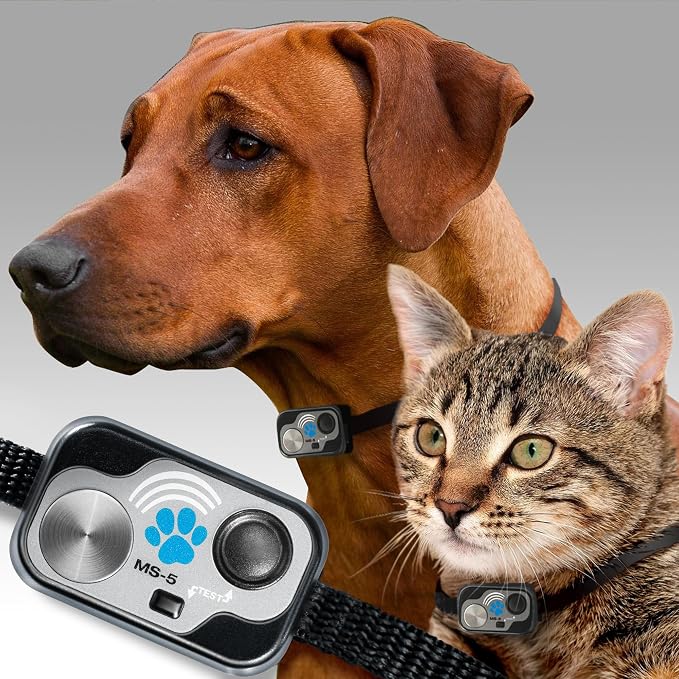 Power Pet Smart Automatic Electronic Pet Door by High Tech Pet (Door Mount, Large, WiFi Enabled - App Control)